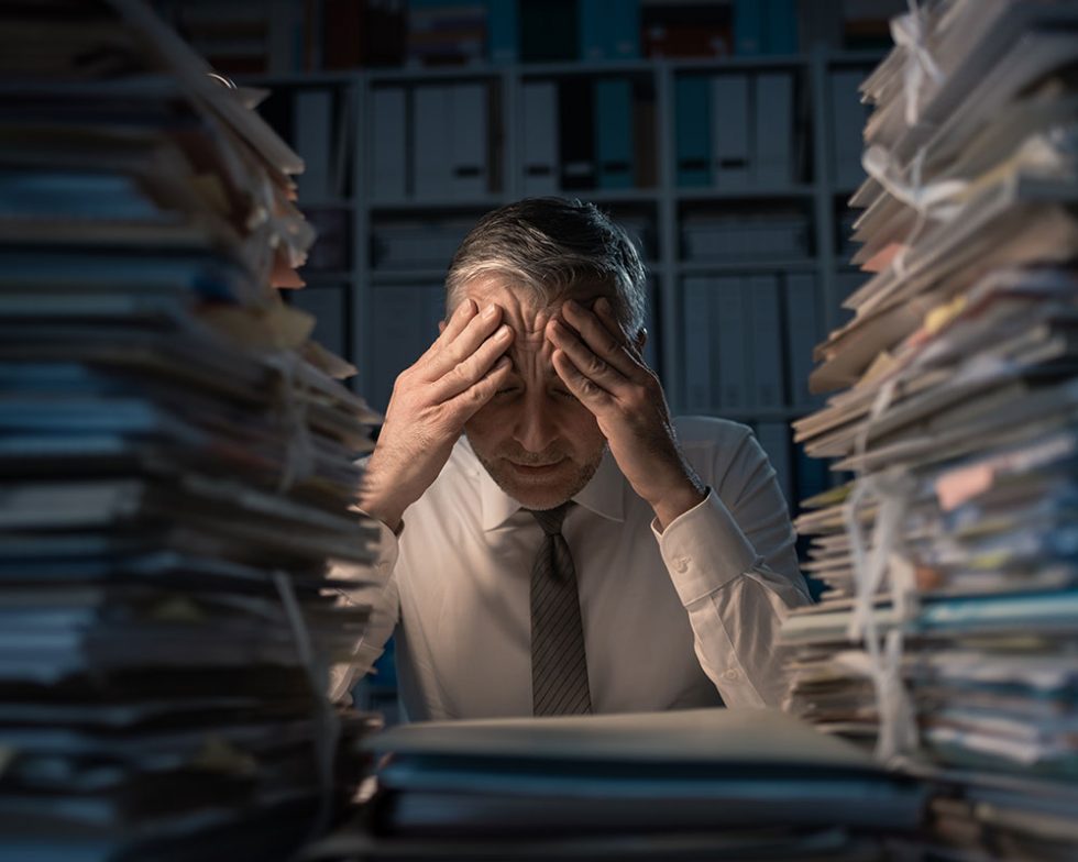 Services Pet Patrol LLC Dog Walking and Pet Sitting in Orland Park