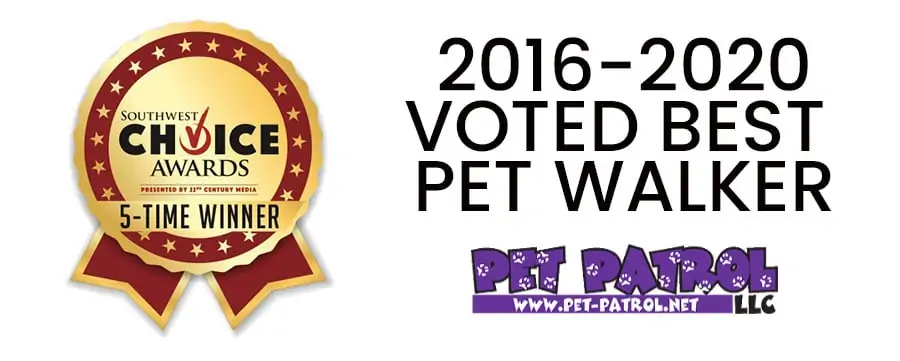 Voted best Pet Walker